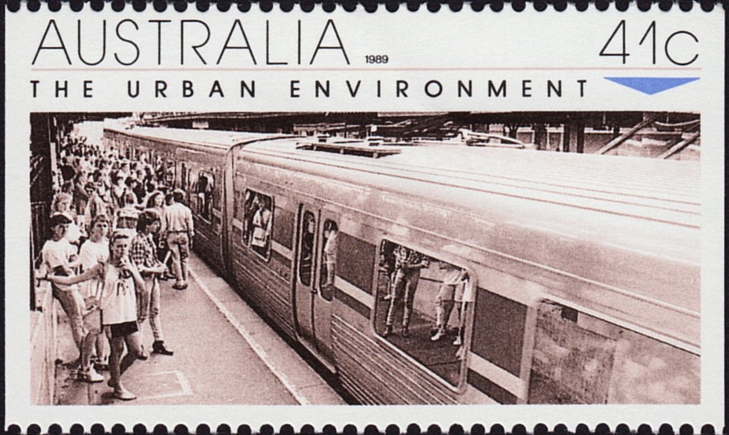 Magnificent Tree Frog (Litoria splendida)