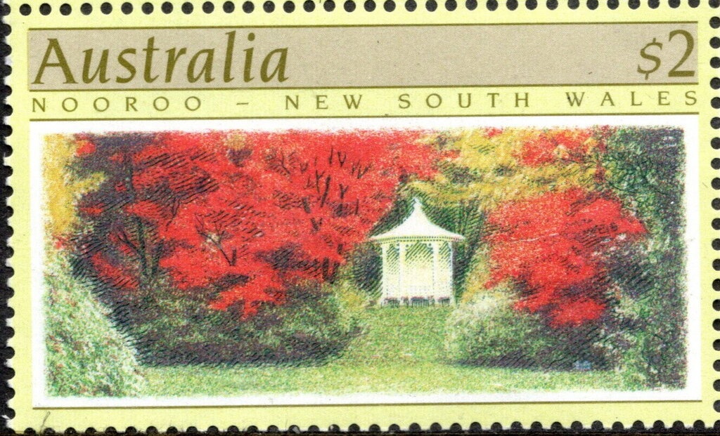 Blue Tang Surgeonfish (Acanthurus caeruleus)