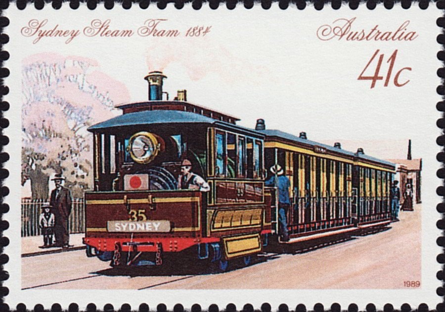 Eastern Snake-necked Tortoise - P(14½ x 14)