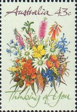 Sperm Whale and Fleet