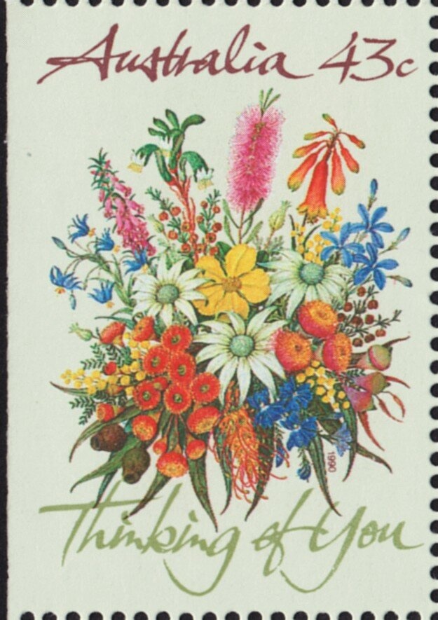 Ring-tailed Possums Eating