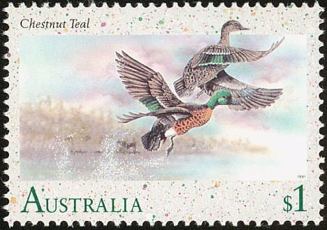 Susie O'Neill Women's 200m Freestyle, offset