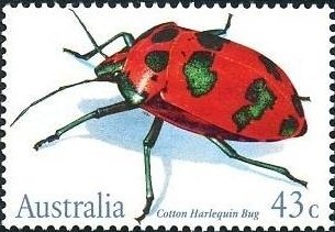 Kayaking and Canoeing - P(14 x 14.40)