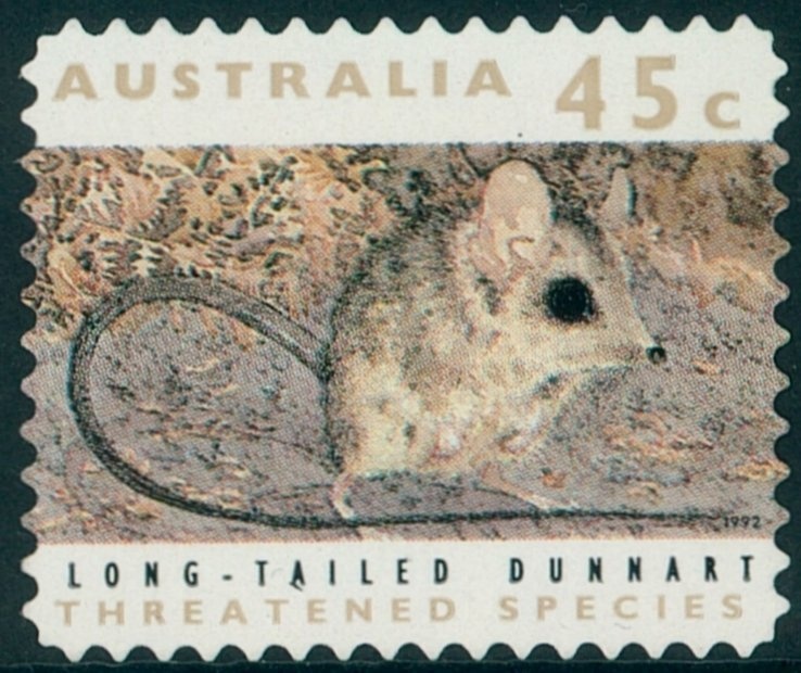 Rainbow Lorikeet (Trichoglossus moluccanus)