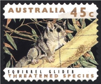 Australia Test Cricket- Bowler and Fielder