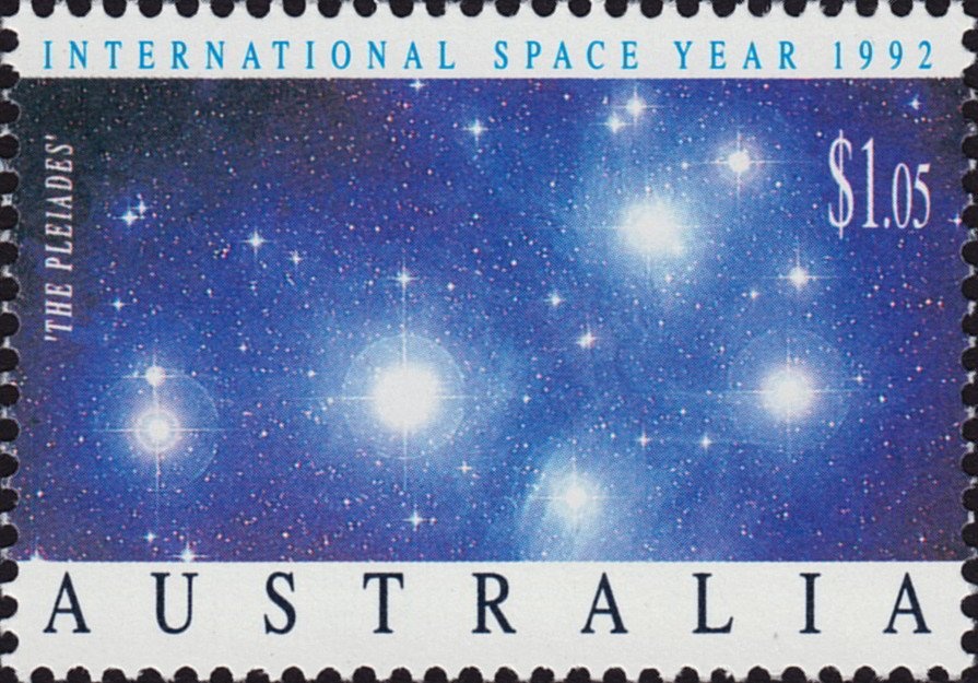 Eastern Spinebill on Swamp Bottlebrush