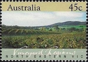 Bugs and Butterflies