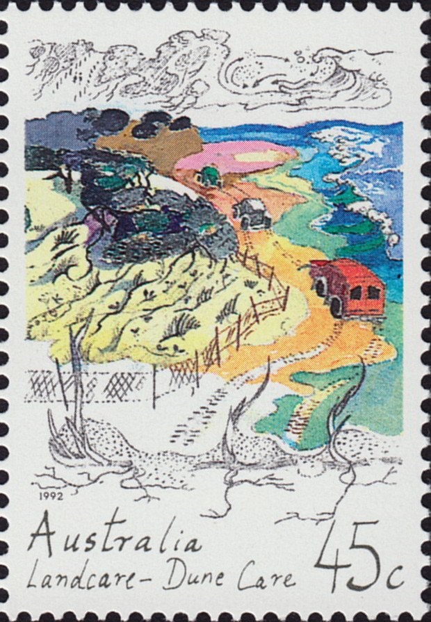 Black-necked Stork (Ephippiorhynchus asiaticus)