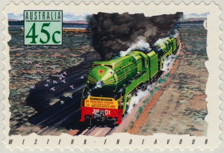 Greater Stick-nest Rat (Leporillus conditor)