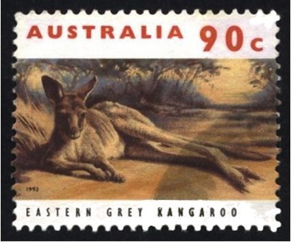 Roy Higgins and Light Fingers