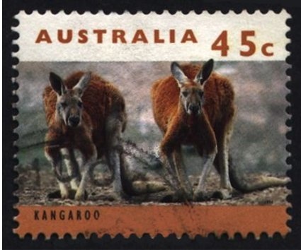 Billy Thorpe and the Aztecs, 1972