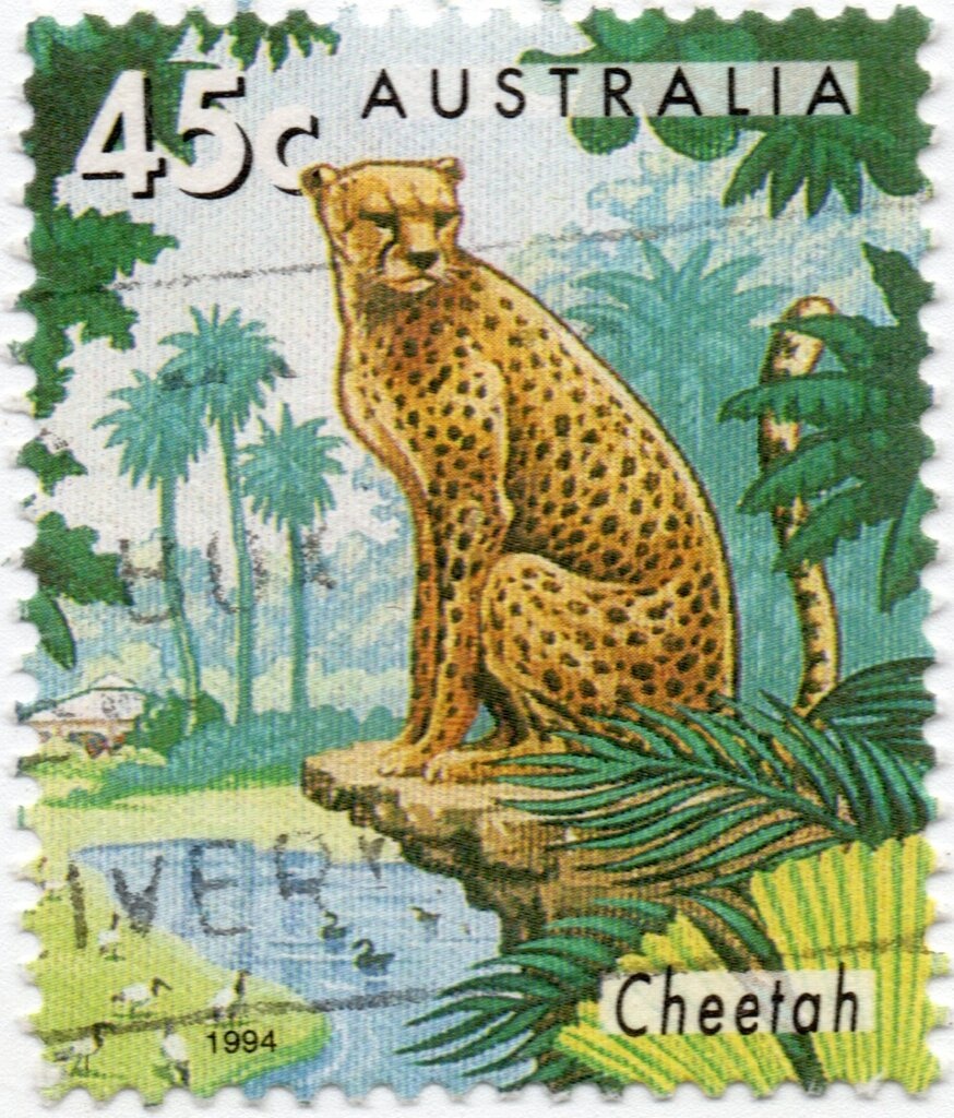 Black Box Flight Recorder, 1961, Cockatoo