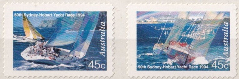 Little Penguin (Eudyptula minor)