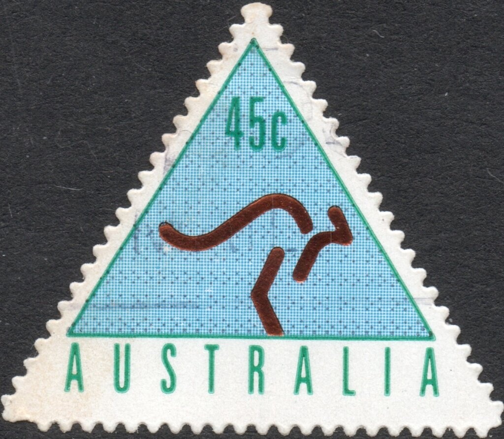 Southern Bottlenose Whale (Hyperoodon planifrons)