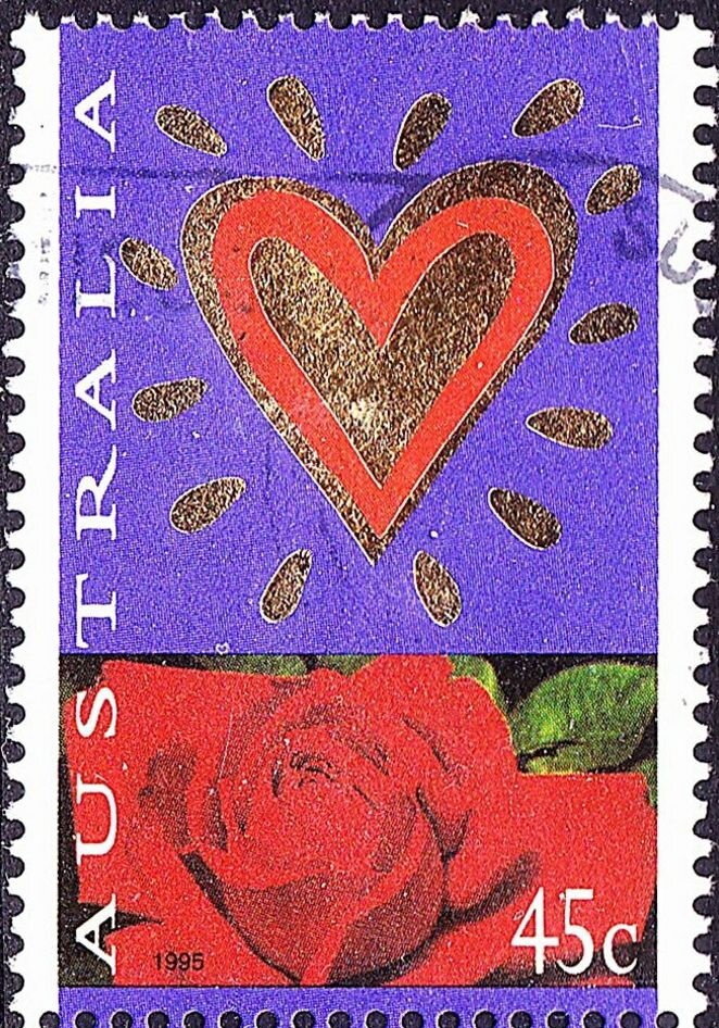 Sulphur-crested Cockatoo (Cacatua galerita)