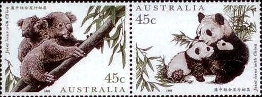 Princess Parrot (Polytelis alexandrae)