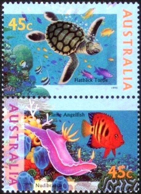 Long-tailed Dunnart (Sminthopsis longicaudata)