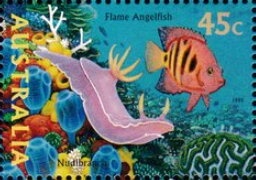 Nicolas Baudin, Kangaroo, “Geographe” (ship) and Map