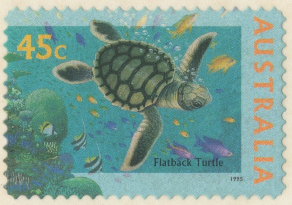 Women's Water Polo, offset