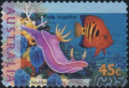 Tasman Series, Sandown, 1966