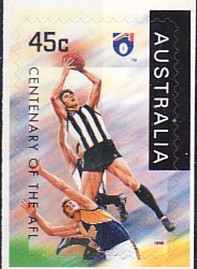 Roth's Tree Frog (Litoria rothii)