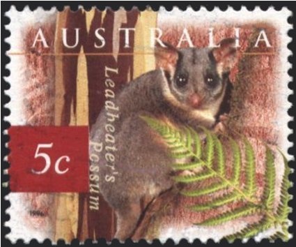 German Shepherd (Canis lupus familiaris)