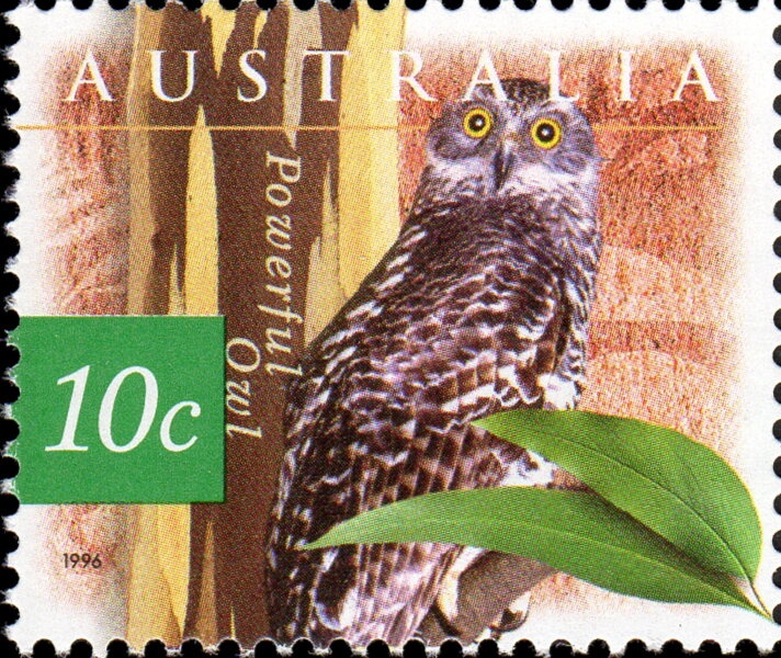 "The Stror' at Coot"