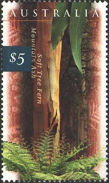 Green Rosella (Platycercus caledonicus)