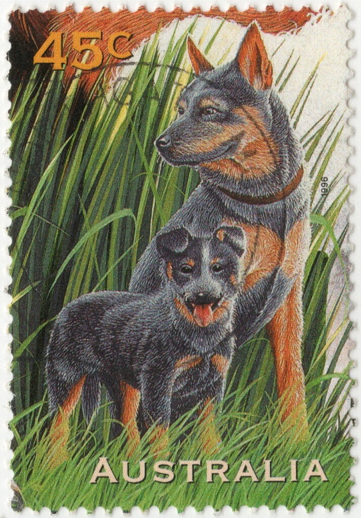 Centenary of Australian Natives Association