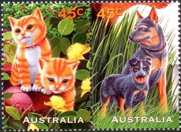 Outback Family and Mail Box