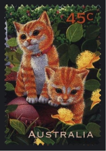 Long-tailed Dunnart (Sminthopsis longicaudata)