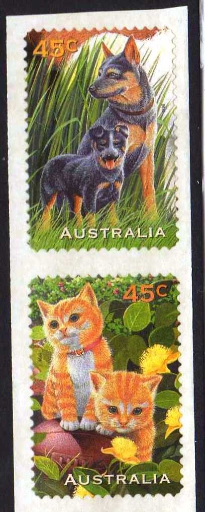 Chestnut Teal (Anas castanea)