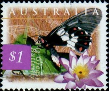 Prime Minister - Joseph Cook