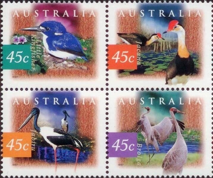 Thylacine (Thylacinus cyanocephalus)