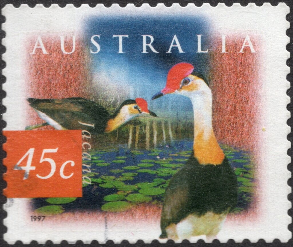 Mimi Spirits Dancing