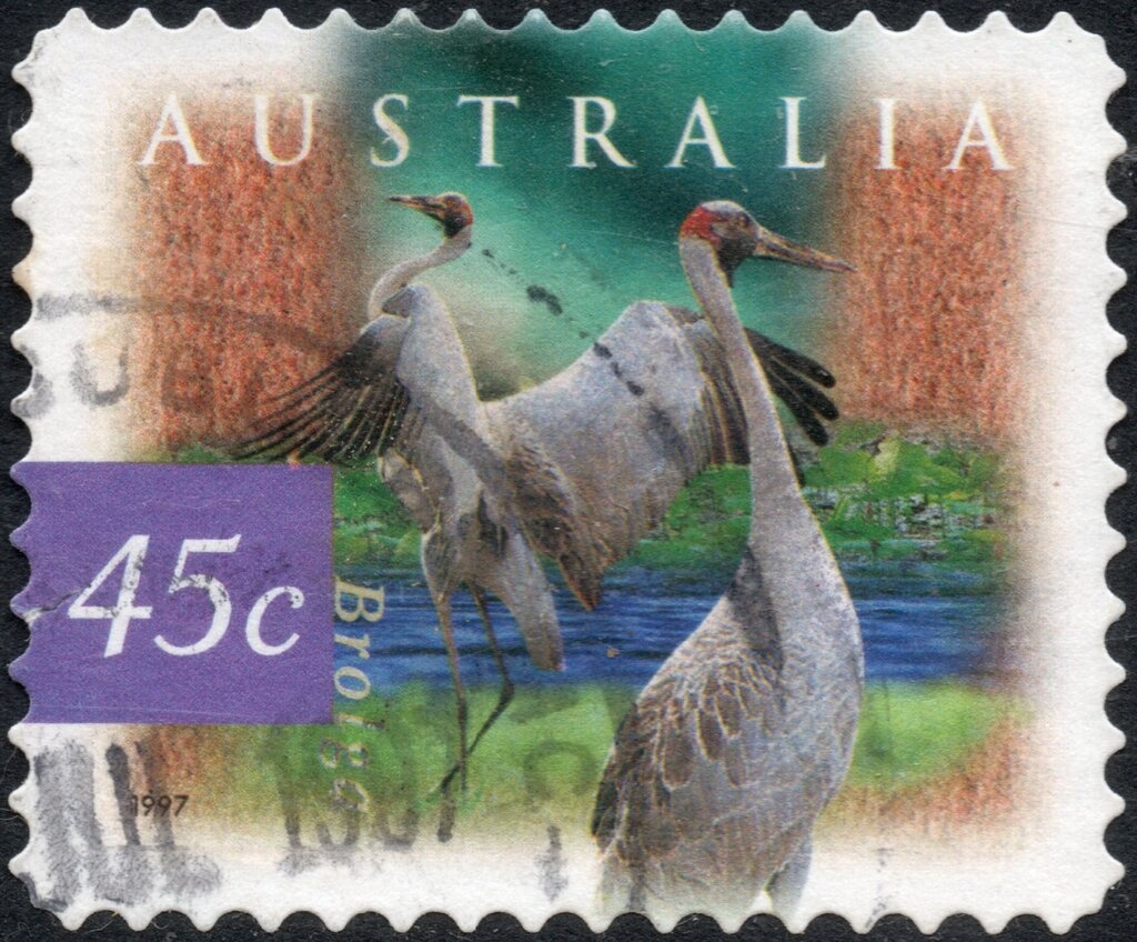 Snowy Mountains Scheme