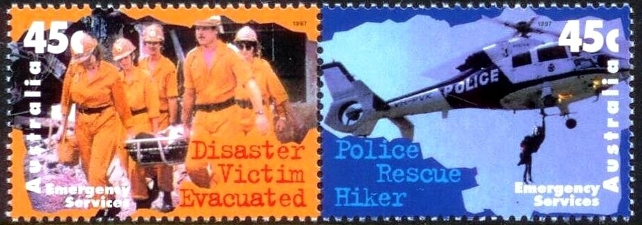 Beach Morning Glory (Ipomoea pes-caprae)