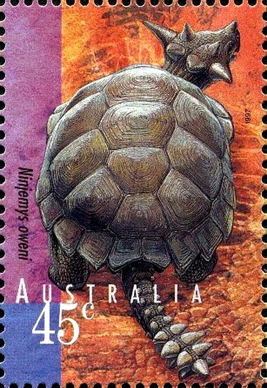 Brolga (Antigone rubicunda)