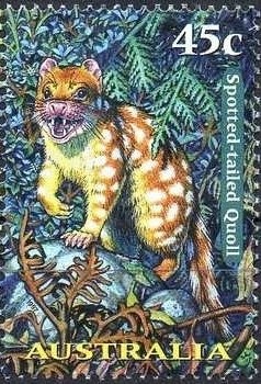 Young Australians at Gallipoli