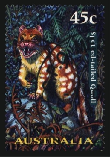 Casualty Evacuation, Vietnam and Disabled Veteran