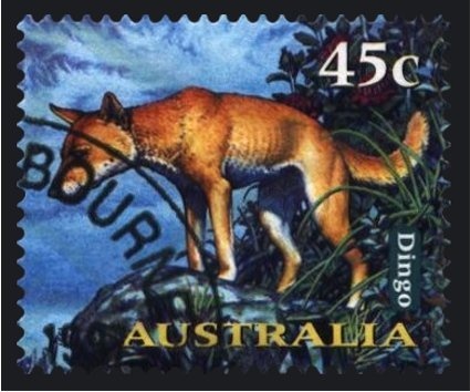 Madonna Window - Christmas