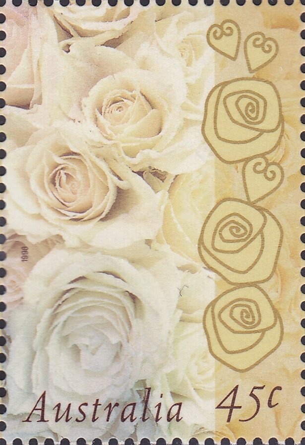 Smooth Knob-tailed Gecko (Nephrurus laevissimus) - P(12¾)