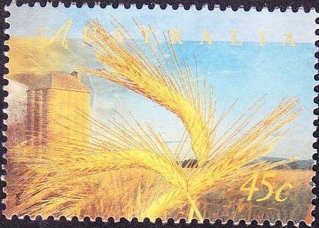 Cycling - P(13.98 x 14.40)