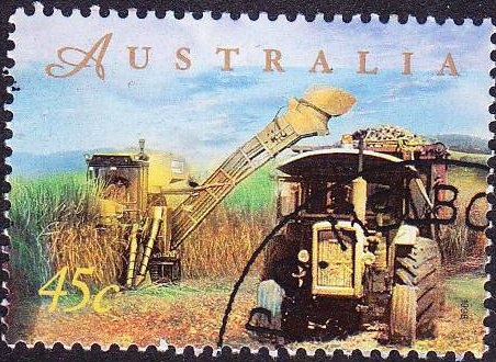 Red-tailed Black Cockatoo & Gouldian Finch