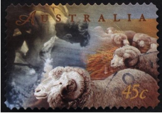 Ghost Bat (Macroderma gigas)