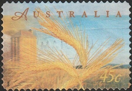 The Old Shearer Stands