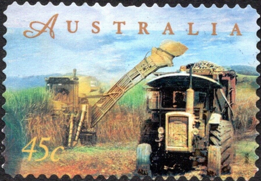 Amputee Putting the Shot