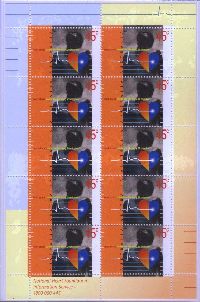 Eastern Snake-necked Tortoise - P(14½ x 14)