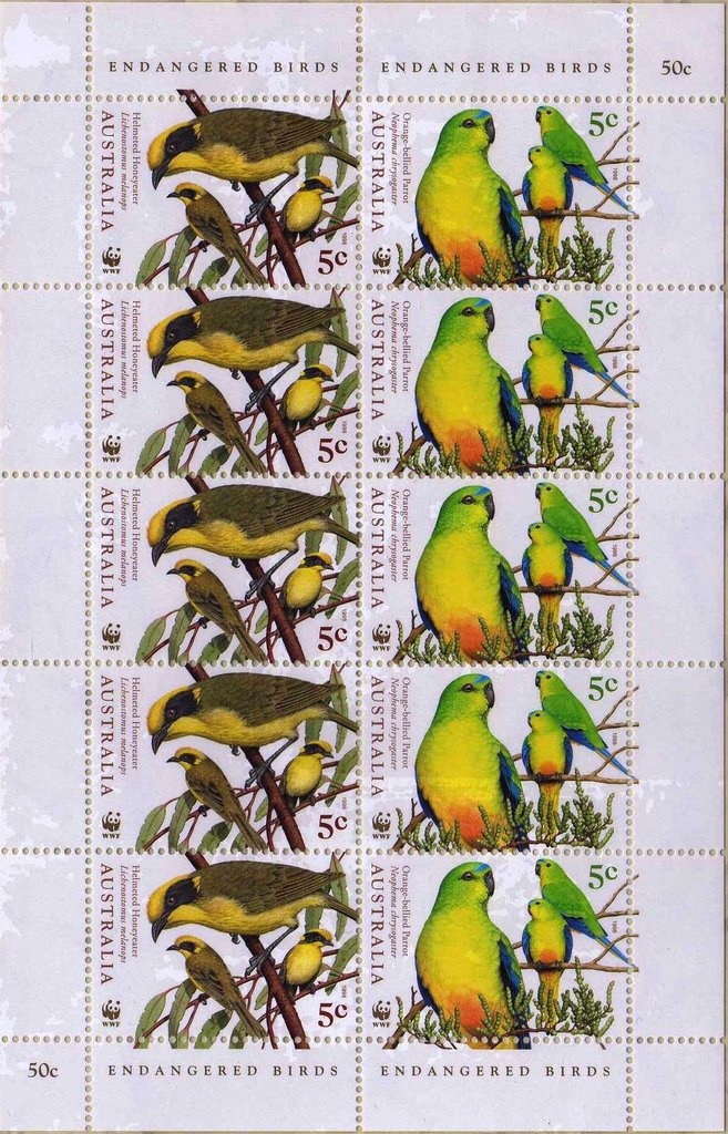 Four Mile Beach, Port Douglas, Queensland