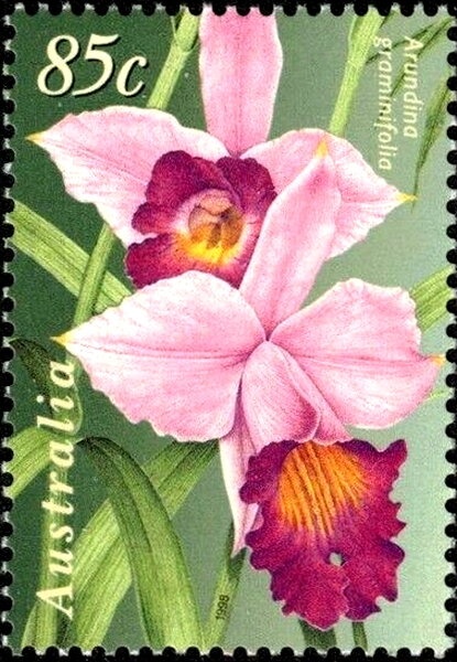 Queen Elizabeth II - Silver Jubilee